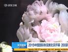 2015中国国际珠宝展北京开幕
