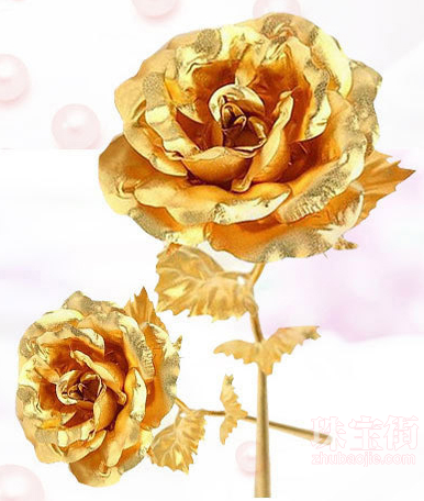 情人节玫瑰