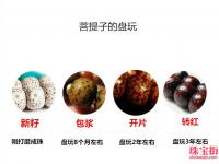 星月菩提怎么挂瓷 星月菩提挂瓷后怎么盘