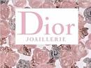 永不凋零的玫瑰 Dior 2016La Rose珠宝系列广告