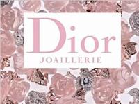 永不凋零的玫瑰 Dior 2016La Rose珠宝系列广告