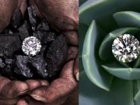 宝创协行业呼吁：依法合规开展钻石业务